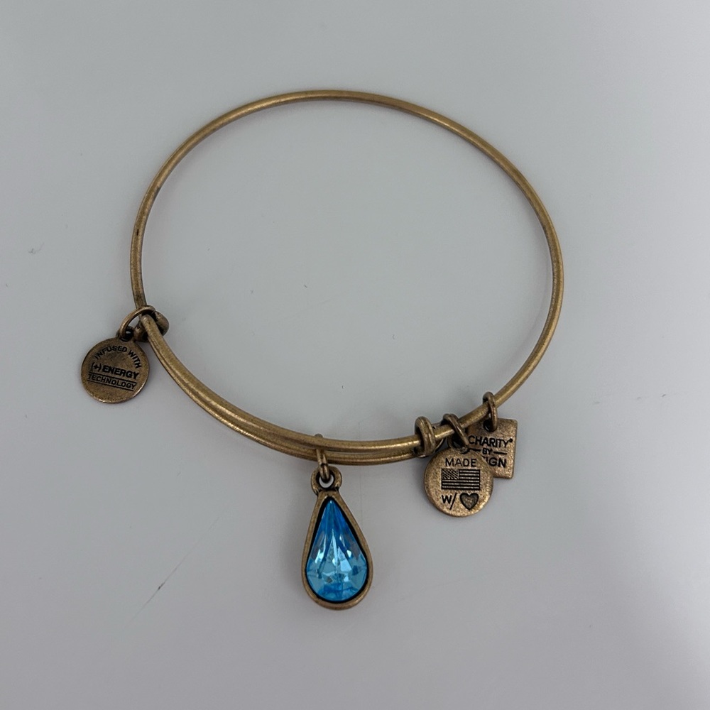 Alex and Ani charm bracelet